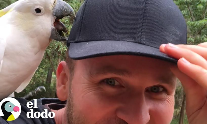 Hombre renuncia a su trabajo para fotografiar pájaros | El Dodo