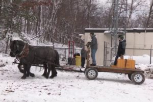 Horsepowered Utility Work to the Rescue