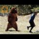 How To Fight A Bear Real Animal Fight Bear Vs Human | The terrible attacks of bears on humans