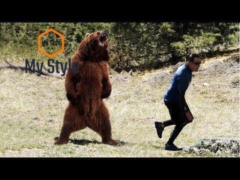 How To Fight A Bear Real Animal Fight Bear Vs Human | The terrible attacks of bears on humans