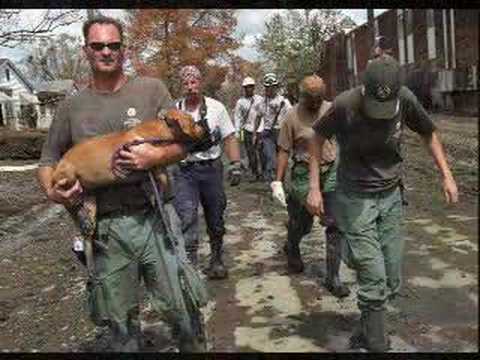 Hurricane Katrina Animal Rescue