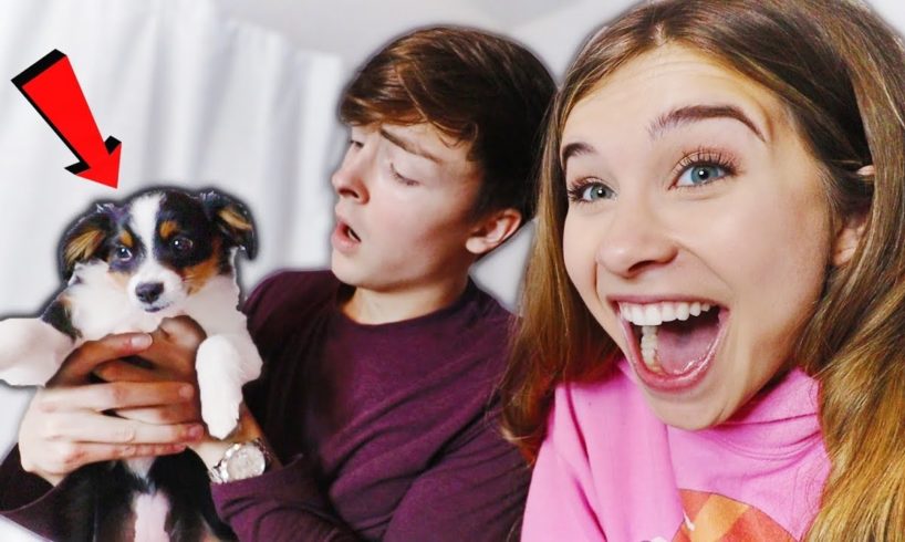 I Surprised My Boyfriend with a PUPPY! (Cute Reaction)