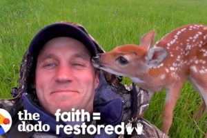 Injured Fawn Deer In Rocky Mountains Gets Adopted | The Dodo Faith = Restored