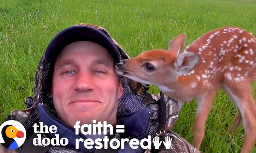 Injured Fawn Deer In Rocky Mountains Gets Adopted | The Dodo Faith = Restored