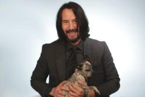 Keanu Reeves Plays With Puppies While Answering Fan Questions