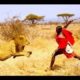 LION VS MAASAI REAL FIGHT! POWERFUL Maasai Lion Attack Fight Hunting!
