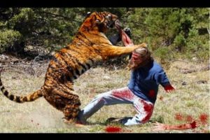 Lion vs Man Unbelievable video
