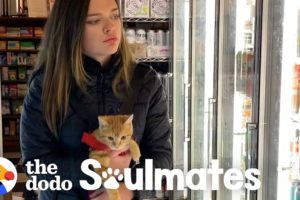 Little Rescue Kitten Is Basically A Baby! | The Dodo Soulmates