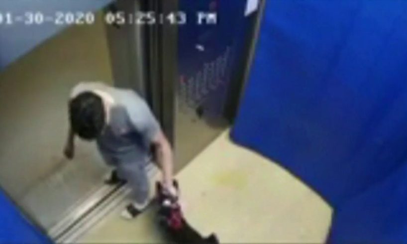 Man, 21, accused of abusing dog inside elevator at Brickell building
