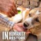 Man Rescues Every Homeless Dogs He Found On Street - Real Life HERO - Rescue Animal HERO