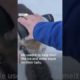 Man oil worker Canada saves 3 kittens pours hot coffee on kittens saves them from freezing to death.