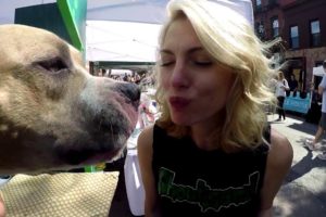 Missy Kisses A Dog (Badass Brooklyn Animal Rescue)