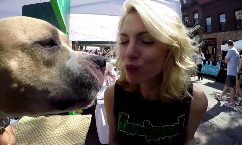 Missy Kisses A Dog (Badass Brooklyn Animal Rescue)