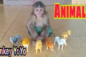 Monkey Baby Yoyo Play With Toy Animals