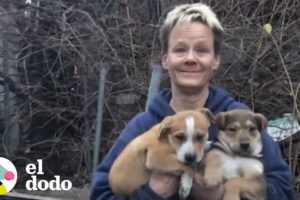 Mujer entra debajo de una casa derrumbada para salvar cachorritos | El Dodo