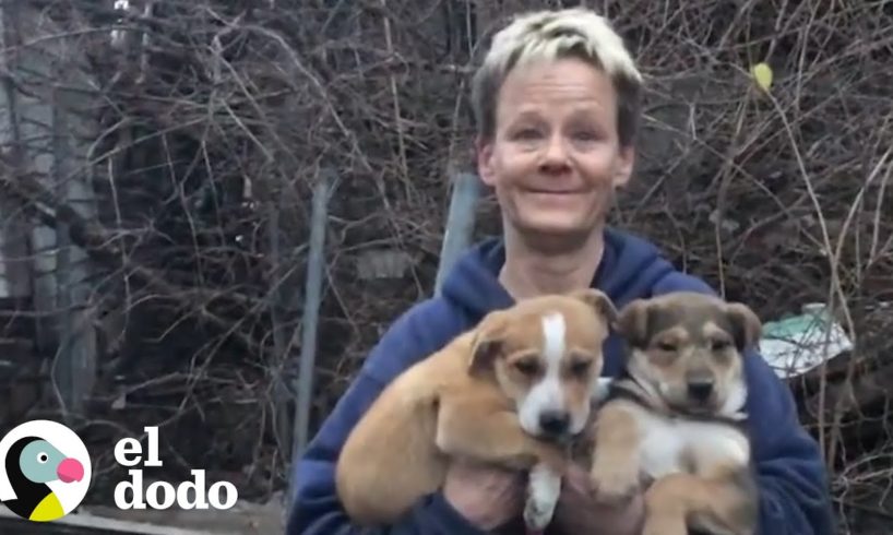 Mujer entra debajo de una casa derrumbada para salvar cachorritos | El Dodo