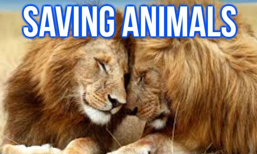 Near Death! Epic Animal Rescues!