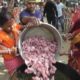 Old Hard Working Ladies Preparing Mutton & Chicken Curry - Picnic Cooking Show 2020