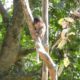 Poor Baby ALBA Playing Alone On The Tree During Her Mom Not Stay/Sounds Monkey