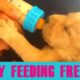 Puppy Feeding Day | Kids Feed The Cutest Puppies! A Feeding Frenzy!