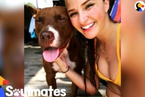 Rescue Dog Knows Exactly How To Comfort His Favorite Person | The Dodo Soulmates