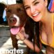 Rescue Dog Knows Exactly How To Comfort His Favorite Person | The Dodo Soulmates
