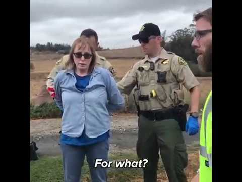 Rescued bird inspires global movement for animal rights