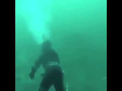 Scuba diver has near death experience with a shark