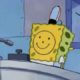 Spongebob's "Best Day Ever" song over near death videos