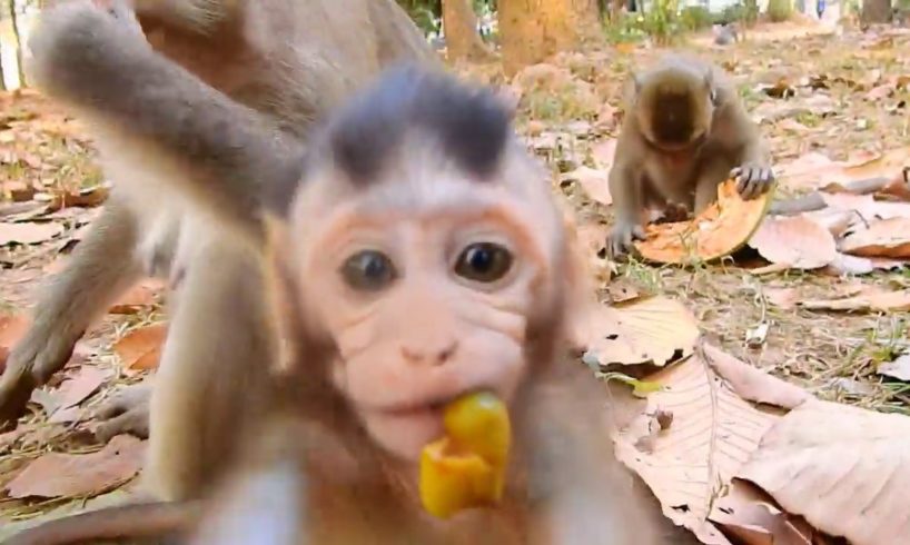 Super lovely Baby Vikki comes to play with me, Baby Vikki grow up so fast | Angkor Nature