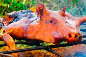 TWISTED Cuban LECHON in Cuba!!! Pork Hammock!!