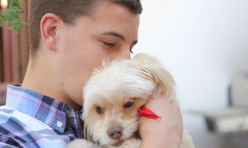 Teen assists with animal adoptions