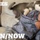 The Amazing Growth In Friendship With My Husky Puppy & Kids Is The Cutest Thing Ever! [UNSEEN CLIPS]