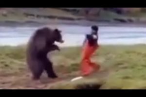 The Kung Fu bear Vs man -|funny animal fight |