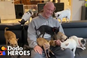 This Guy's Addicted to Rescuing Chihuahuas | Dodo Heroes