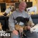 This Guy's Addicted to Rescuing Chihuahuas | Dodo Heroes