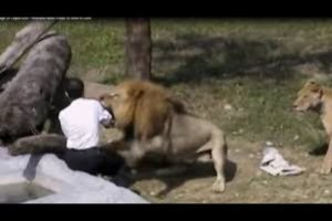 This man tried to enter the lion's cage, but see what happened to him +18