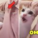 Top 100 Dogs And Cats Reaction When They Smell Strange ?Pets Paws Video 2020