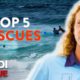 Top 5 Lifeguard Rescues - Bondi Rescue | Season 14