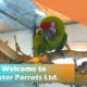 Welcome to Foster Parrots Exotic Animal Sanctuary!
