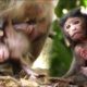 adorable baby steveo action good play with brother and sister, | so cutes all baby in group charlie