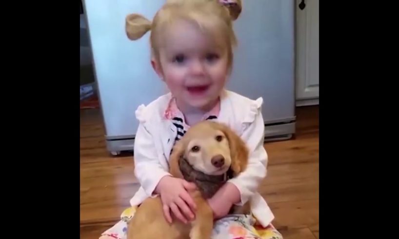 #cutepuppies #adorablebabies Cute puppies and adorable babies compilation :)