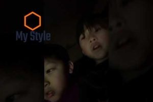 [] wild animals gone wild: animal fight night at ant vs setapeed.:)