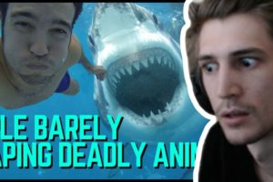 xQc Reacts to *NEAR DEATH* Animal Encounters!