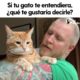 ¿Qué te gustaría decirle a tu gato si te entendiera? | El Dodo