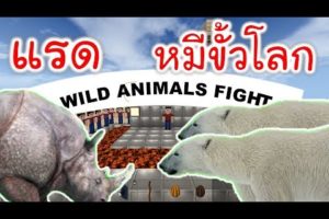แรดต่อสู้กับหมีขั้วโลก Rhino VS Polar Bear WILD ANIMALS FIGHT survivalcraft2.2 #12 [พี่อู๊ด]