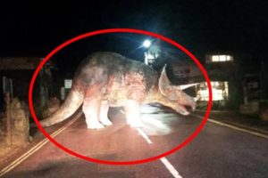 10 Dinosaurs Caught on Camera in Real Life