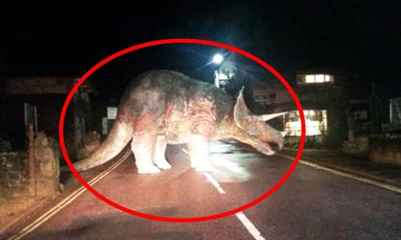 10 Dinosaurs Caught on Camera in Real Life