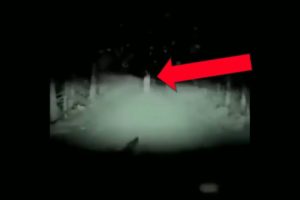 25 Bigfoot Jinn In Islam Caught On Camera Yeti Snowman ...