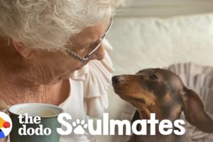 84-Year-Old Lady Is Best Friends With This Pup | The Dodo Soulmates
